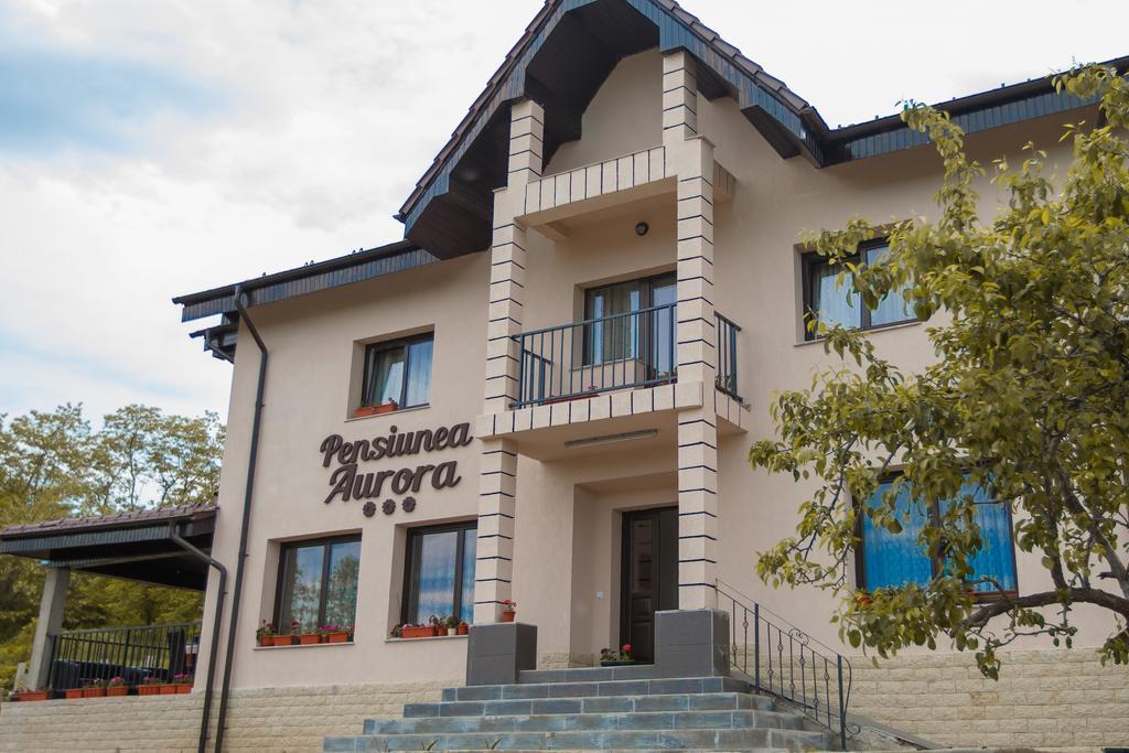 Pensiunea Aurora Ξενοδοχείο Racova Εξωτερικό φωτογραφία